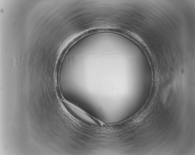 X0000052600935200507292119