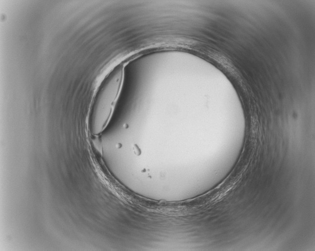 X0000052600936200507292119