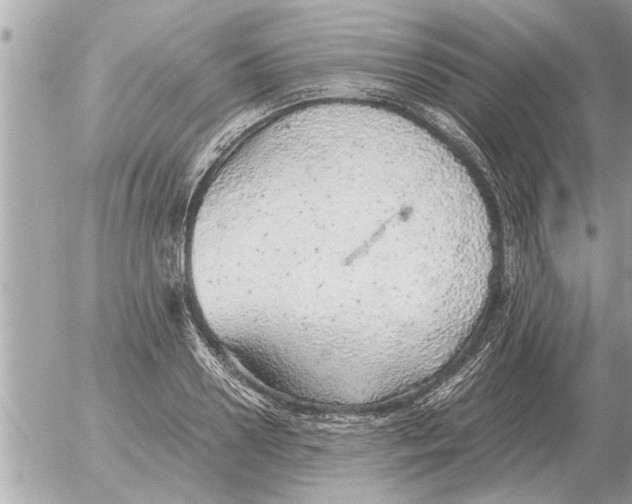 X0000052600938200507292119