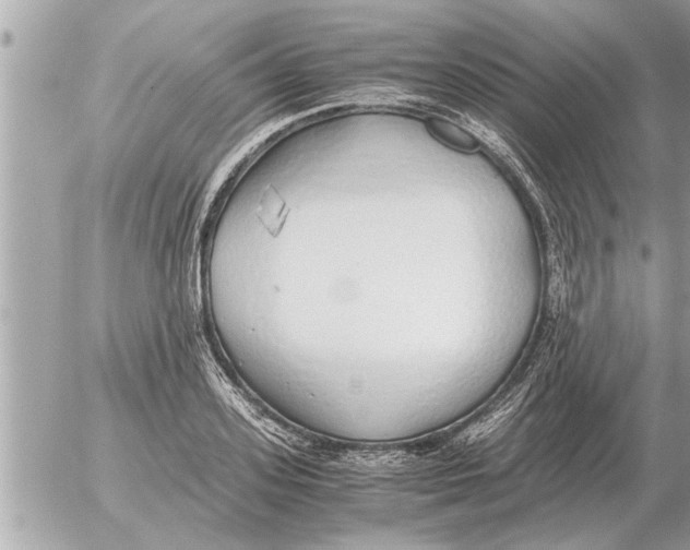 X0000052600939200507292119