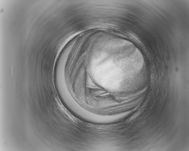 X0000052600940200507292119