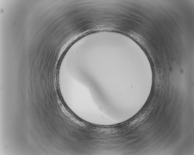 X0000052600941200507292119