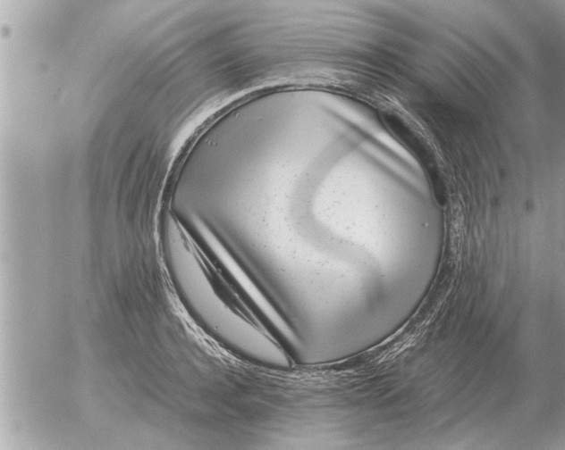 X0000052600944200507292119