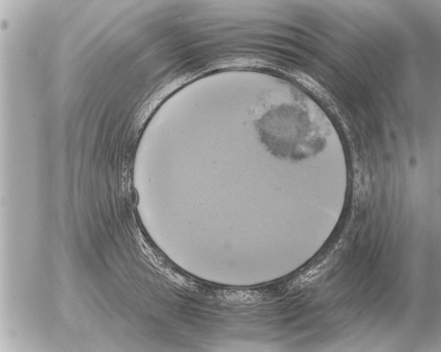 X0000052600945200507292119