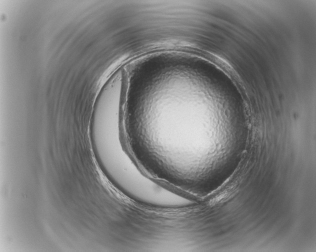 X0000052600946200507292119