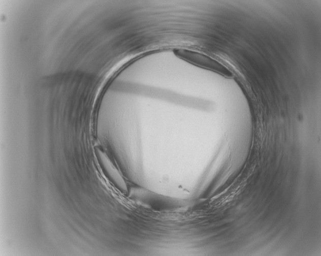 X0000052600948200507292119