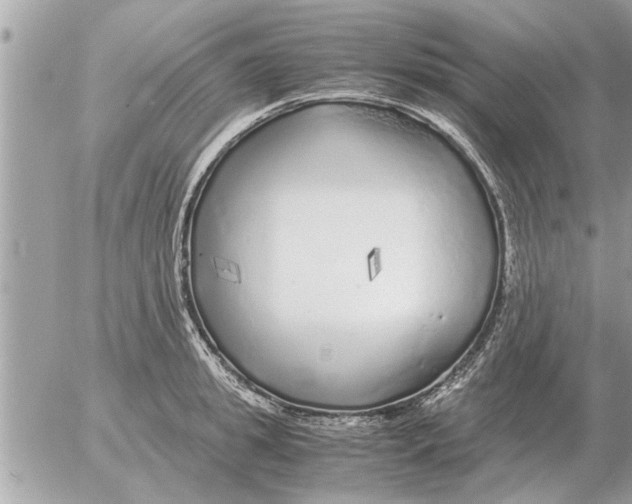 X0000052600949200507292119