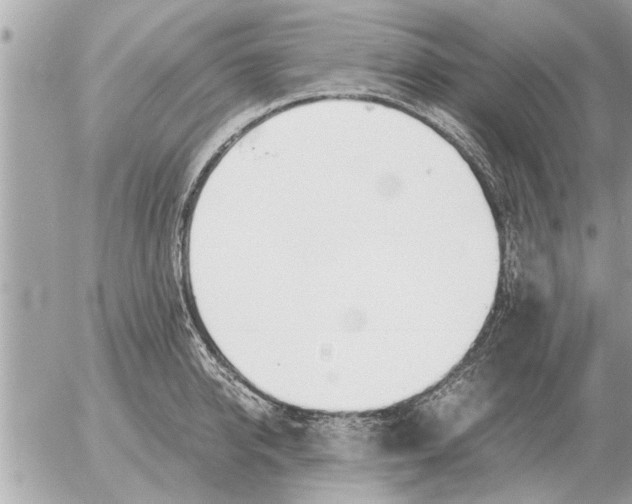 X0000052600950200507292119