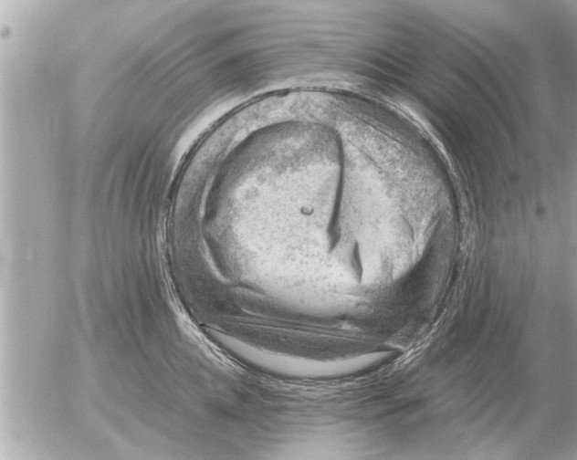 X0000052600952200507292119