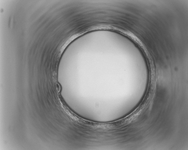 X0000052600953200507292119