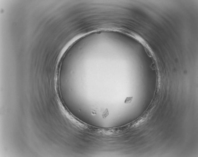 X0000052600955200507292119