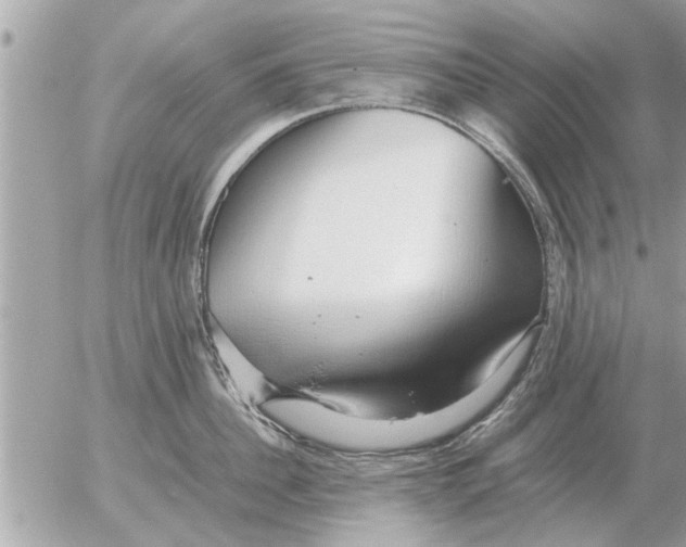 X0000052600956200507292119