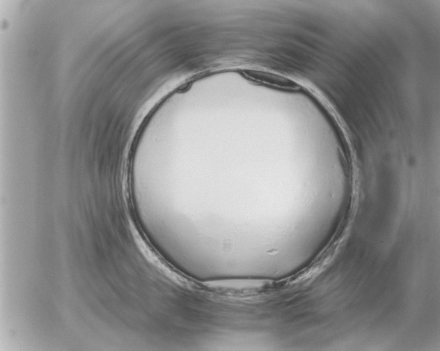 X0000052600957200507292119