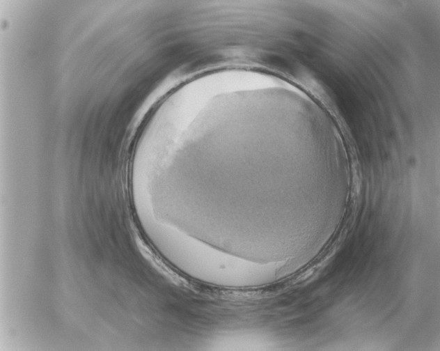 X0000052600958200507292119