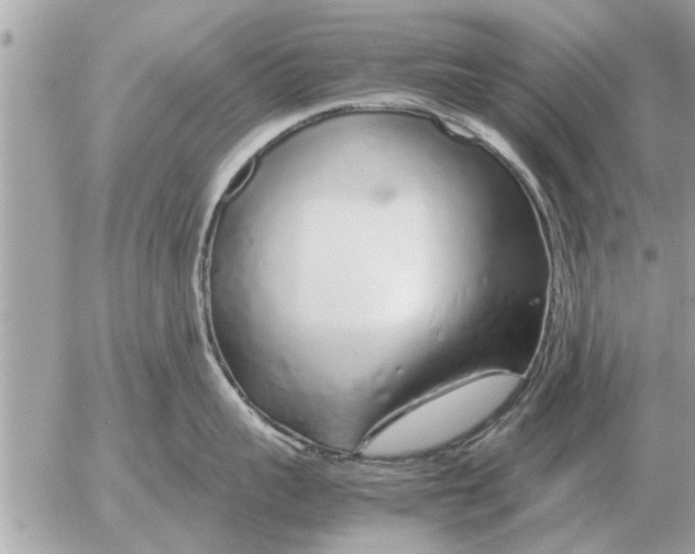 X0000052600959200507292119