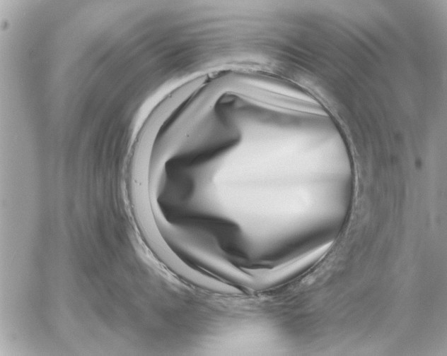 X0000052600960200507292120