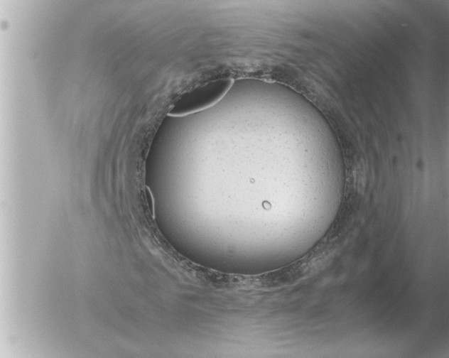 X0000052600961200507292119