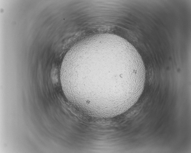 X0000052600962200507292119