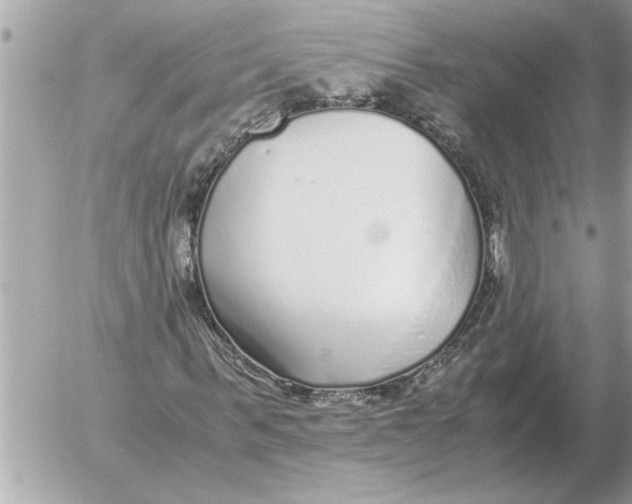 X0000052600963200507292119