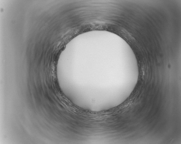 X0000052600964200507292119