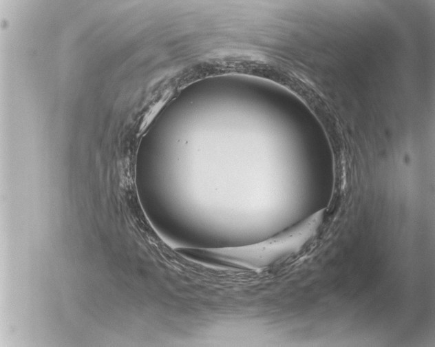 X0000052600965200507292119