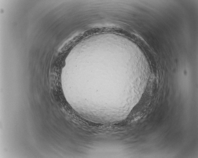 X0000052600967200507292119