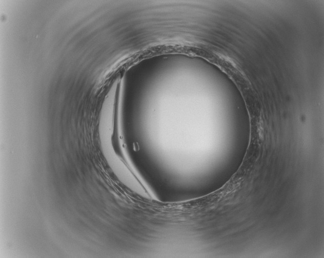 X0000052600968200507292119