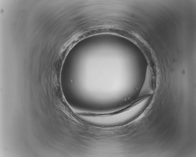 X0000052600969200507292119