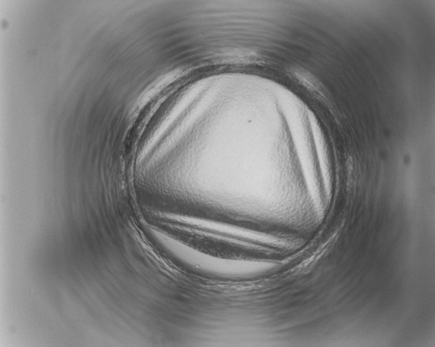 X0000052600970200507292119