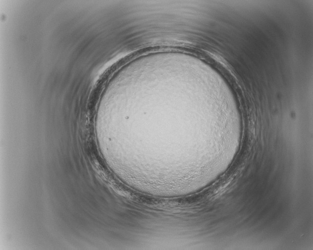 X0000052600971200507292119