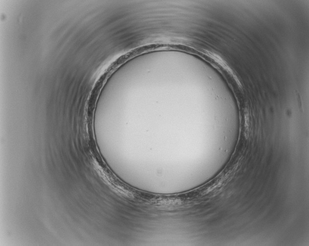 X0000052600972200507292119