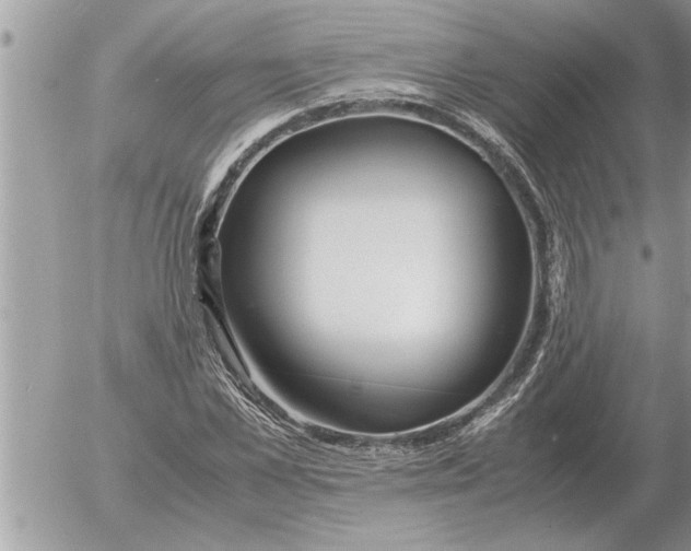 X0000052600973200507292119