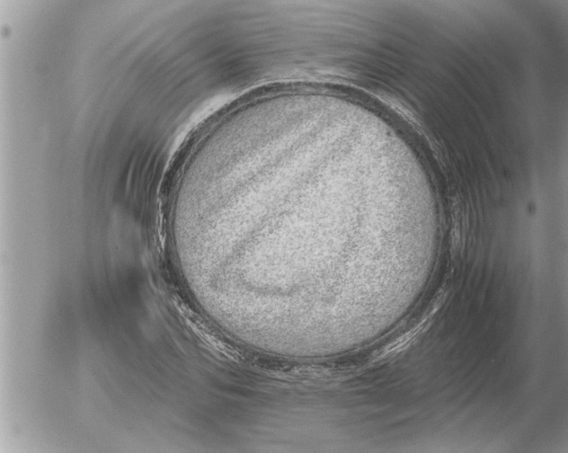 X0000052600974200507292118