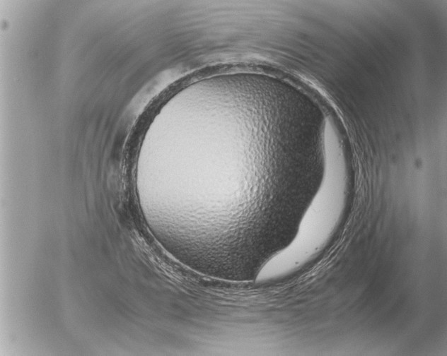 X0000052600975200507292118