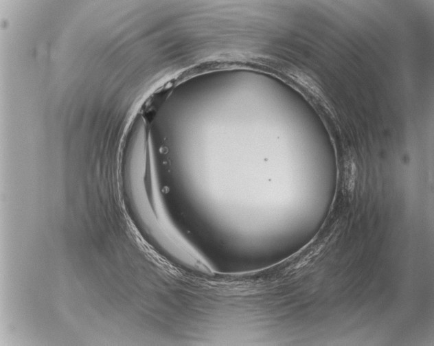 X0000052600976200507292118