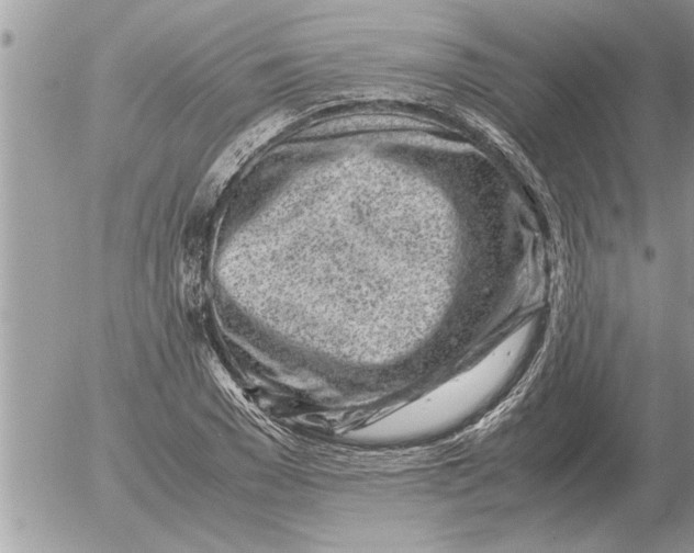 X0000052600977200507292118