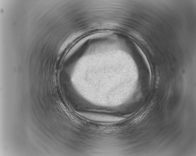 X0000052600978200507292118