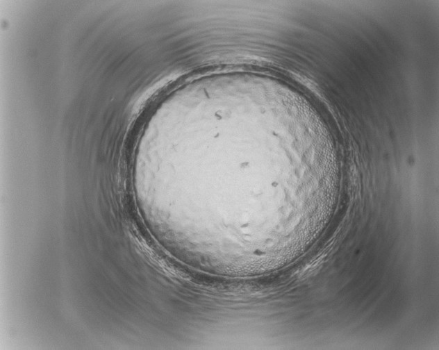 X0000052600979200507292118