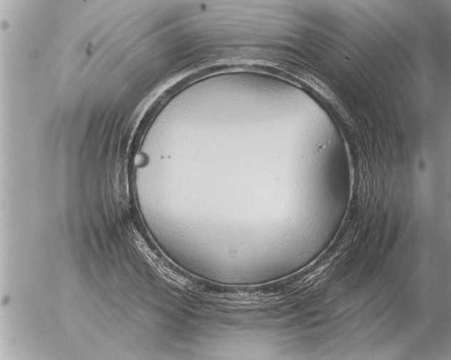 X0000052600980200507292118