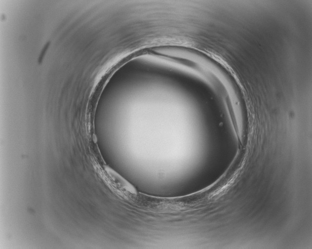 X0000052600981200507292118