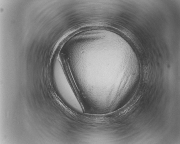 X0000052600982200507292118