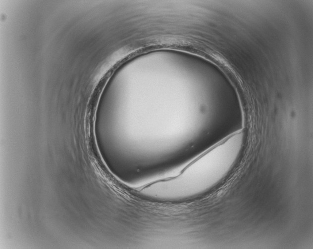 X0000052600983200507292118