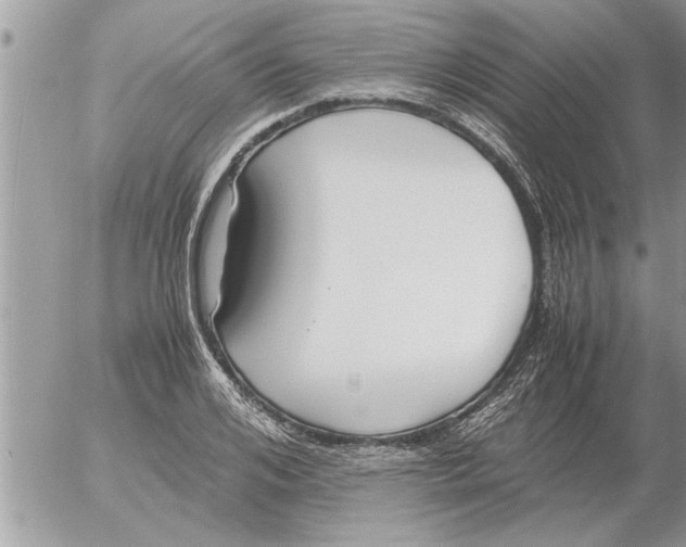 X0000052600984200507292118