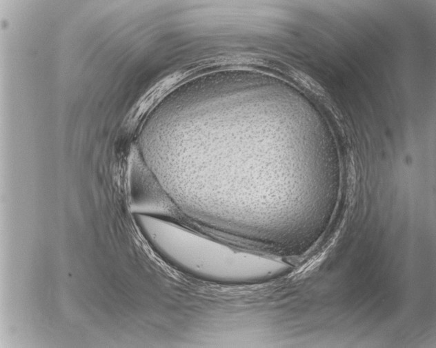 X0000052600985200507292118