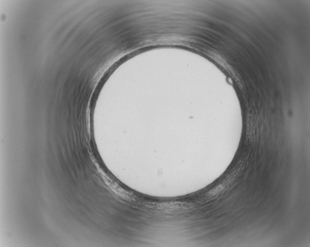 X0000052600988200507292118