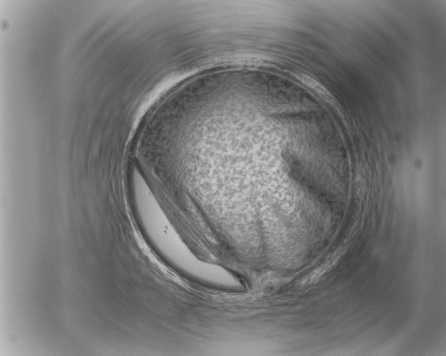 X0000052600989200507292118