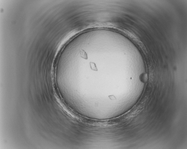 X0000052600990200507292118