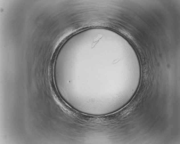 X0000052600991200507292118