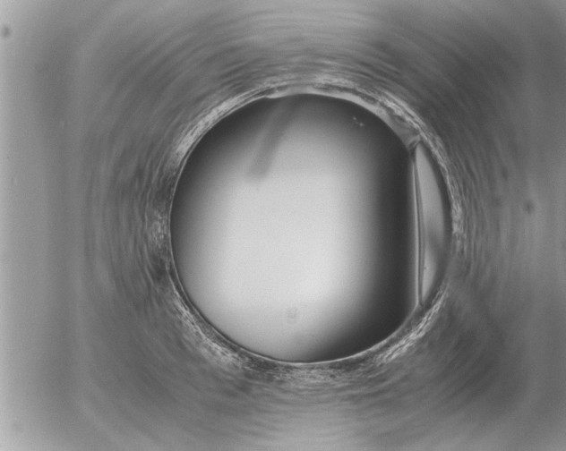 X0000052600993200507292118