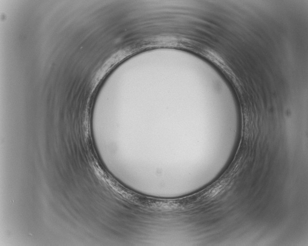 X0000052600994200507292118